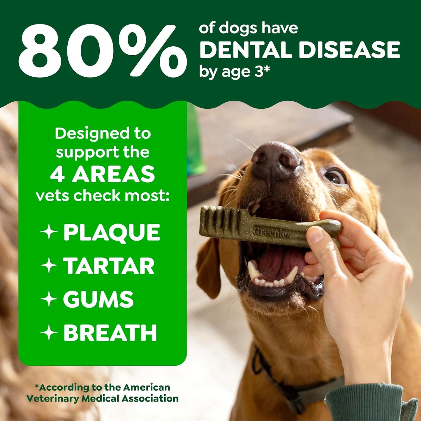 GREENIES Original Large Natural Dog Dental Care Chews Oral Health Dog Treats, 6 Oz. Pack (4 Treats)