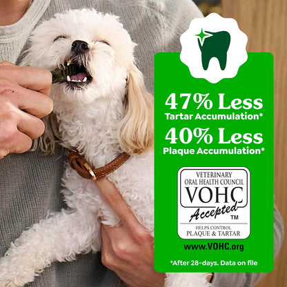 GREENIES Original Large Natural Dog Dental Care Chews Oral Health Dog Treats, 6 Oz. Pack (4 Treats)