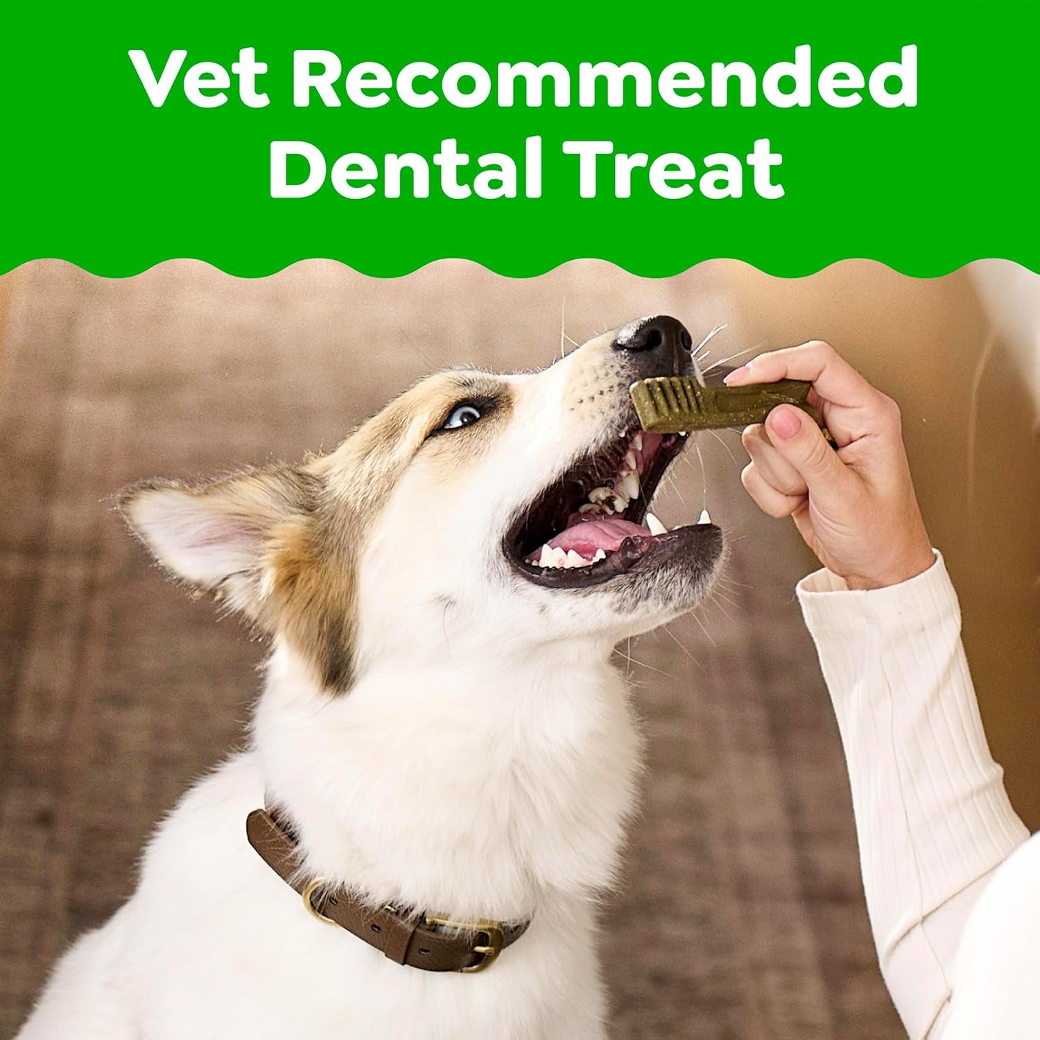 GREENIES Original Large Natural Dog Dental Care Chews Oral Health Dog Treats, 6 Oz. Pack (4 Treats)