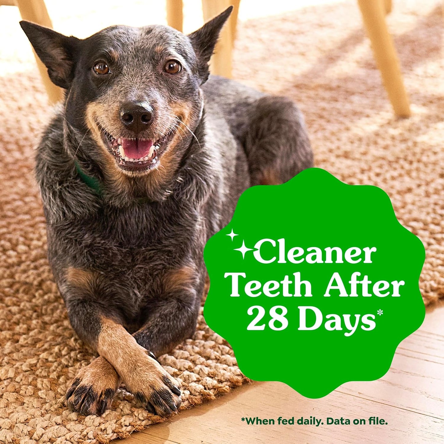 GREENIES Original Large Natural Dog Dental Care Chews Oral Health Dog Treats, 6 Oz. Pack (4 Treats)